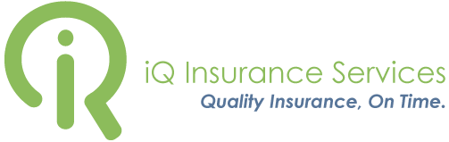 iQ Insurance